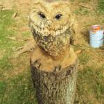 Chainsaw art and wood work at the Alice Springs Show