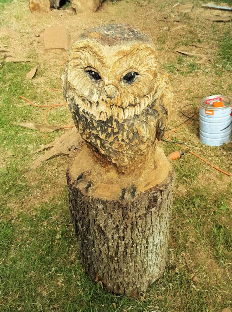 Chainsaw art and wood work at the Alice Springs Show