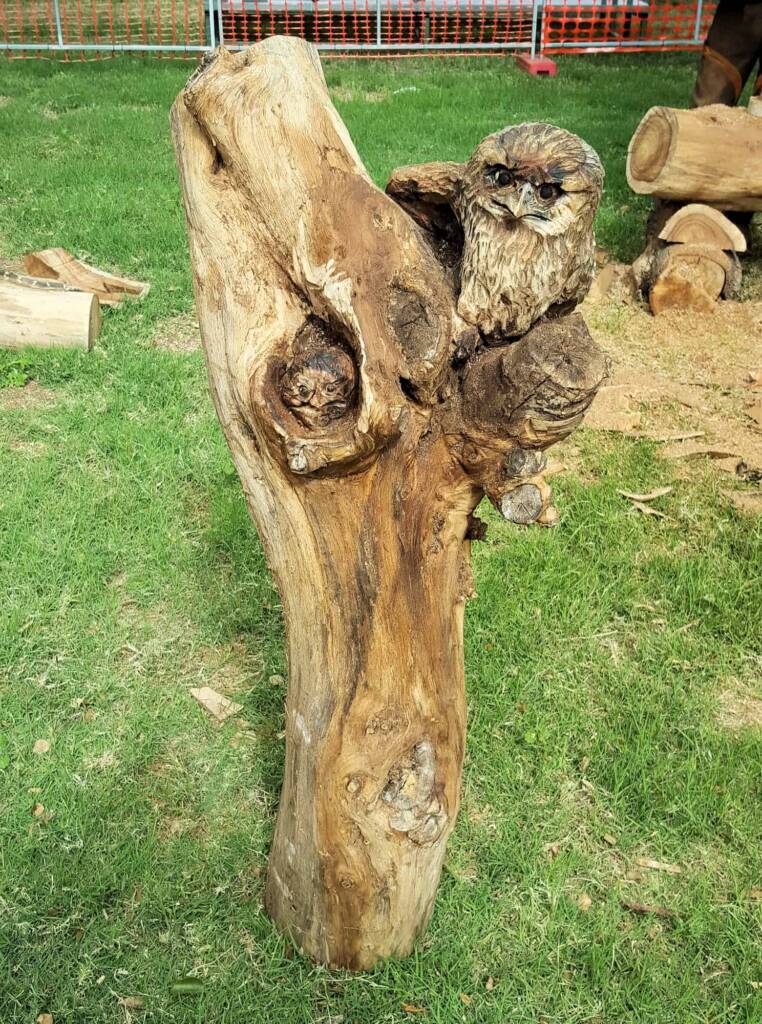 Chainsaw art and wood work at the Alice Springs Show