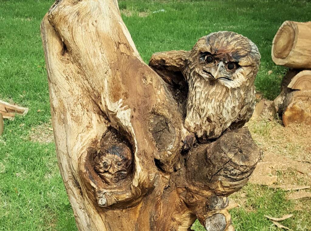 Chainsaw art and wood work at the Alice Springs Show