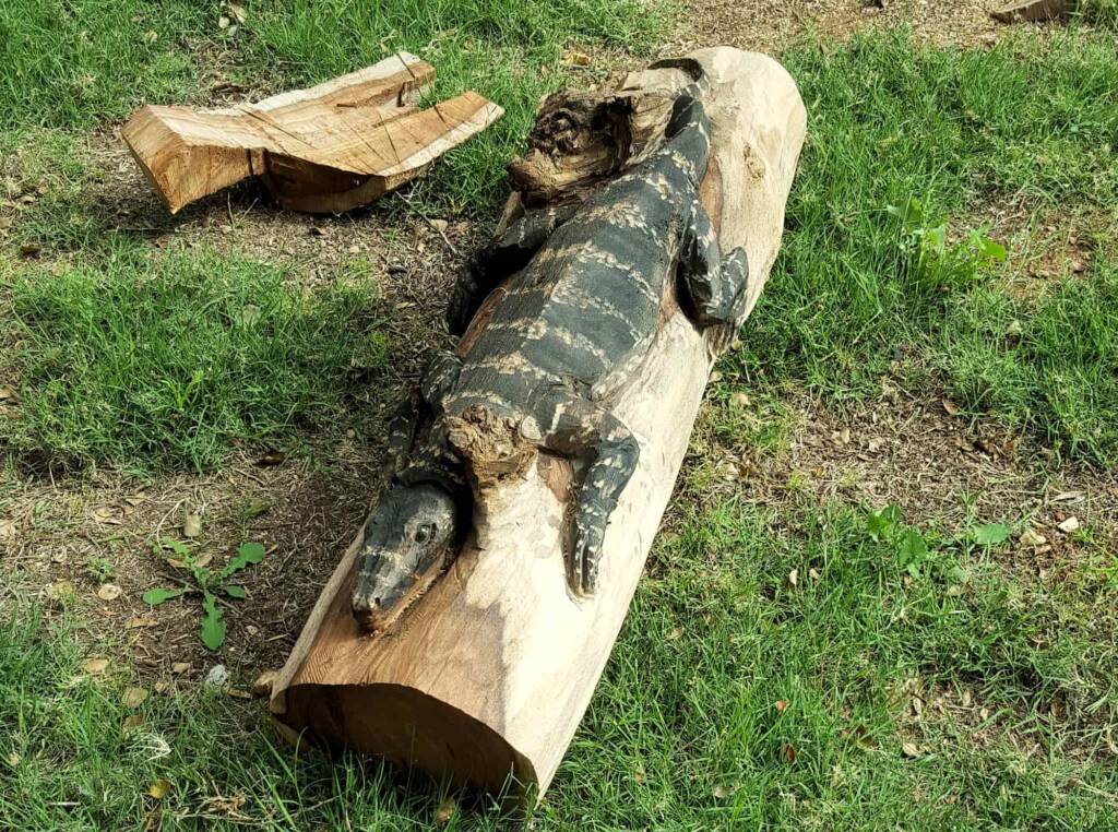 Chainsaw art and wood work at the Alice Springs Show
