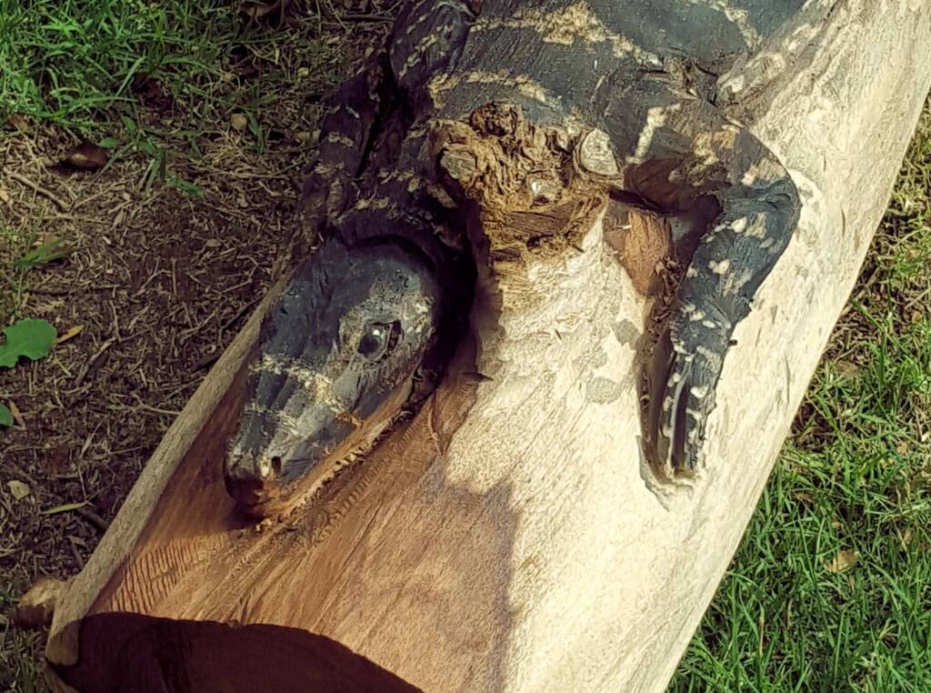 Chainsaw art and wood work at the Alice Springs Show