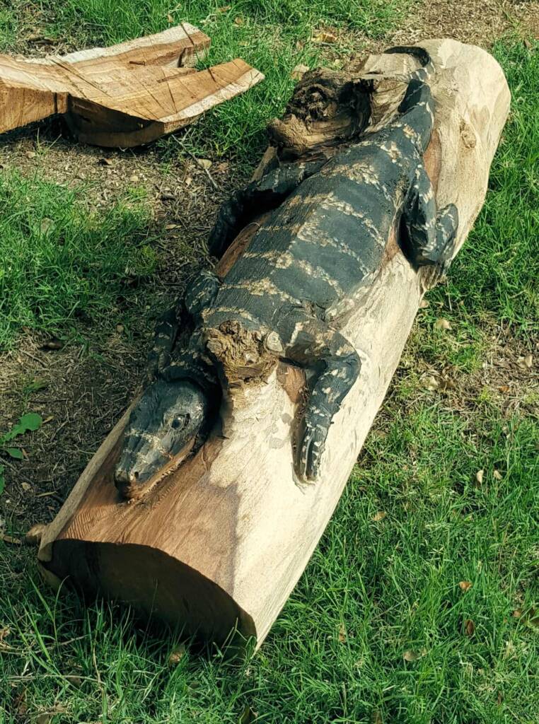 Chainsaw art and wood work at the Alice Springs Show