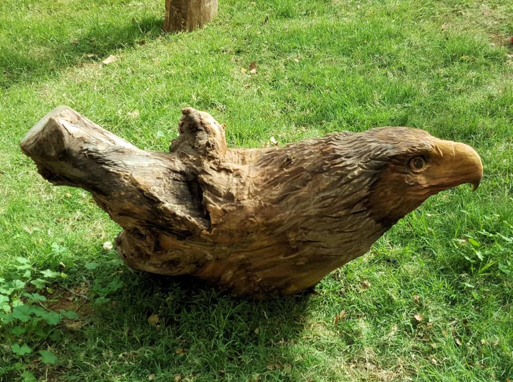 Chainsaw art and wood work at the Alice Springs Show
