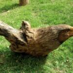 Chainsaw art and wood work at the Alice Springs Show