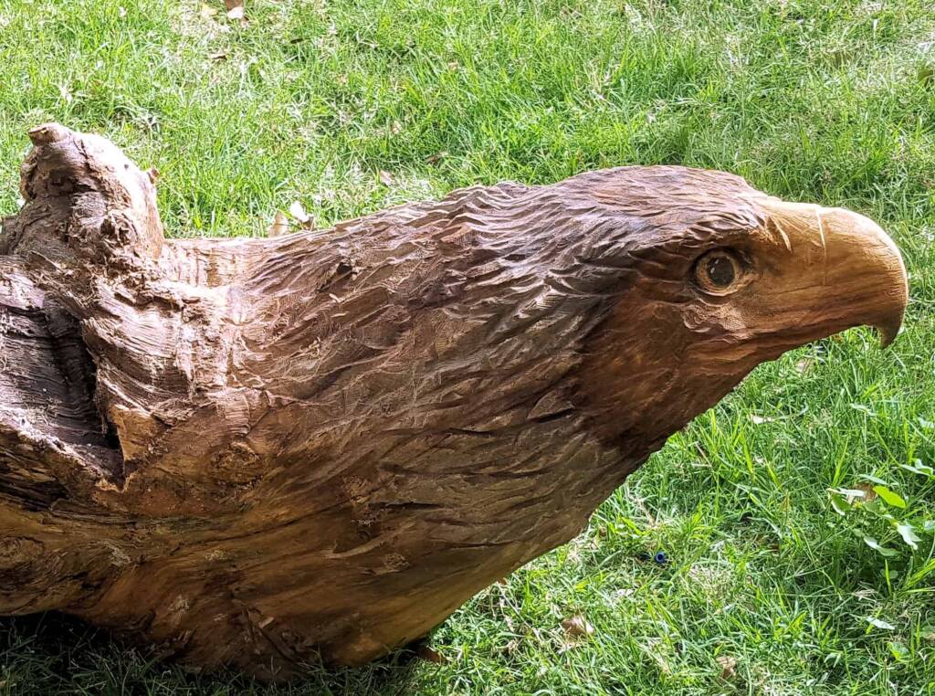 Chainsaw art and wood work at the Alice Springs Show