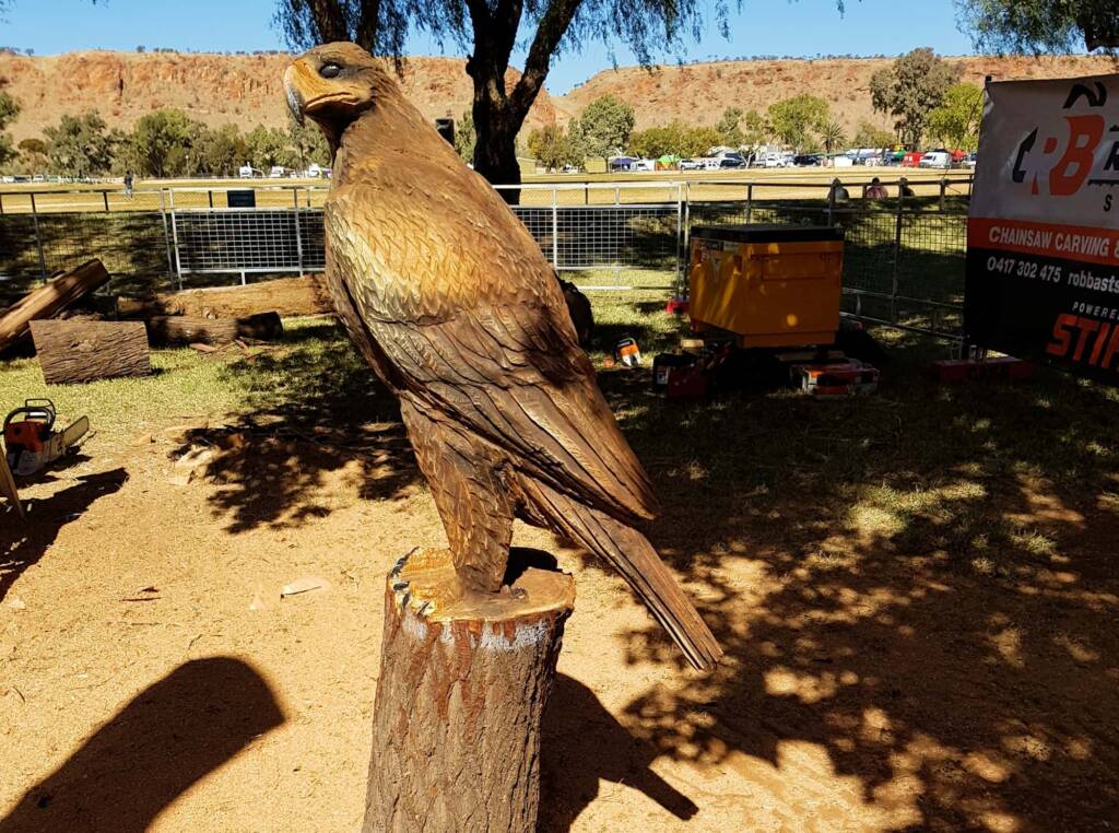 Chainsaw art and wood work at the Alice Springs Show