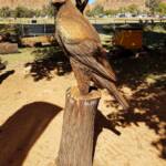Chainsaw art and wood work at the Alice Springs Show