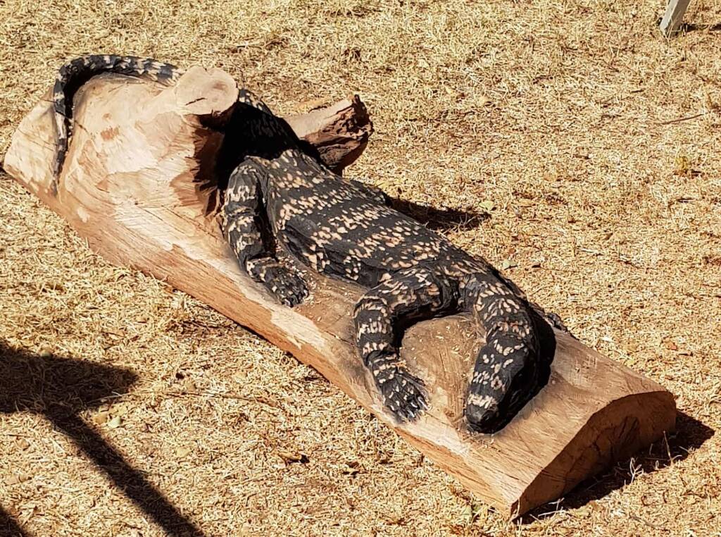 Chainsaw art and wood work at the Alice Springs Show