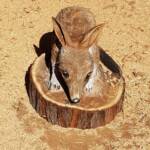 Chainsaw art and wood work at the Alice Springs Show