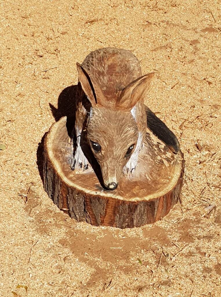 Chainsaw art and wood work at the Alice Springs Show