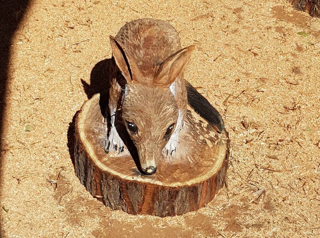 Chainsaw art and wood work at the Alice Springs Show
