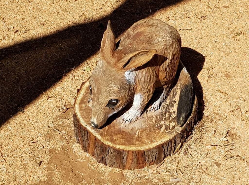 Chainsaw art and wood work at the Alice Springs Show