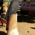Chainsaw art and wood work at the Alice Springs Show