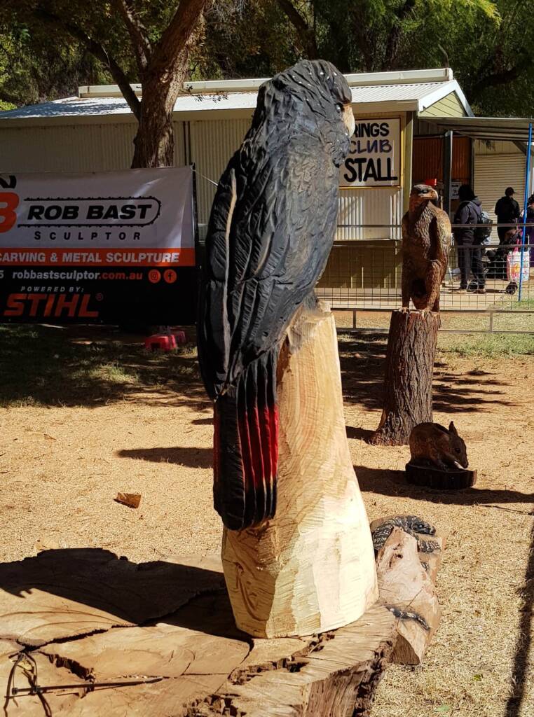 Chainsaw art and wood work at the Alice Springs Show