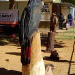Chainsaw art and wood work at the Alice Springs Show