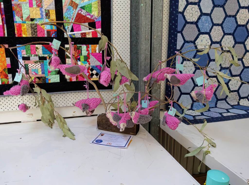 1st Prize Junior Craft Award The Alice Springs Steiner School Class 1 - Class HJ42 - 6-7 years, Alice Springs Show 2023