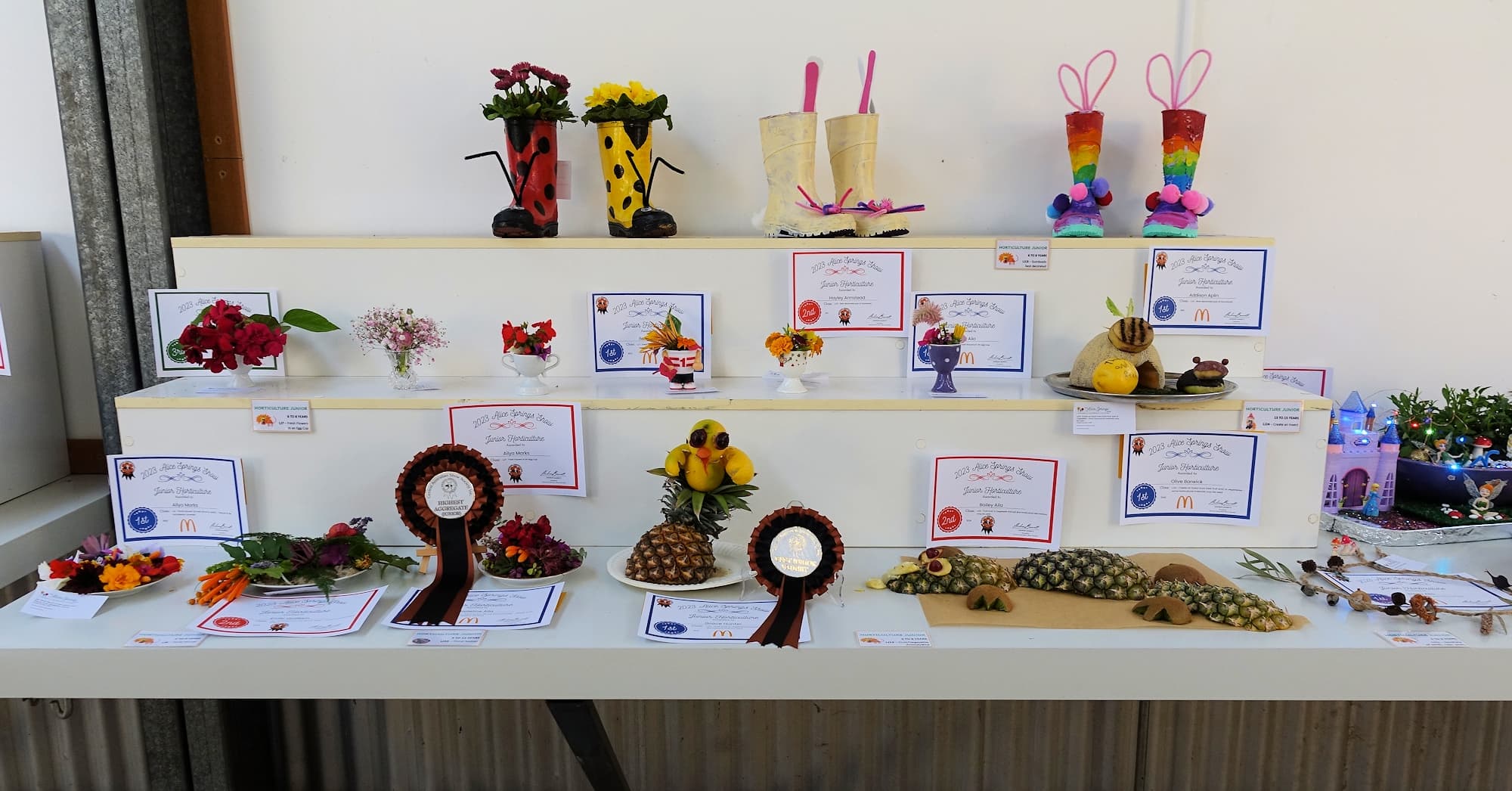 Junior Horticulture, Alice Springs Show 2023
