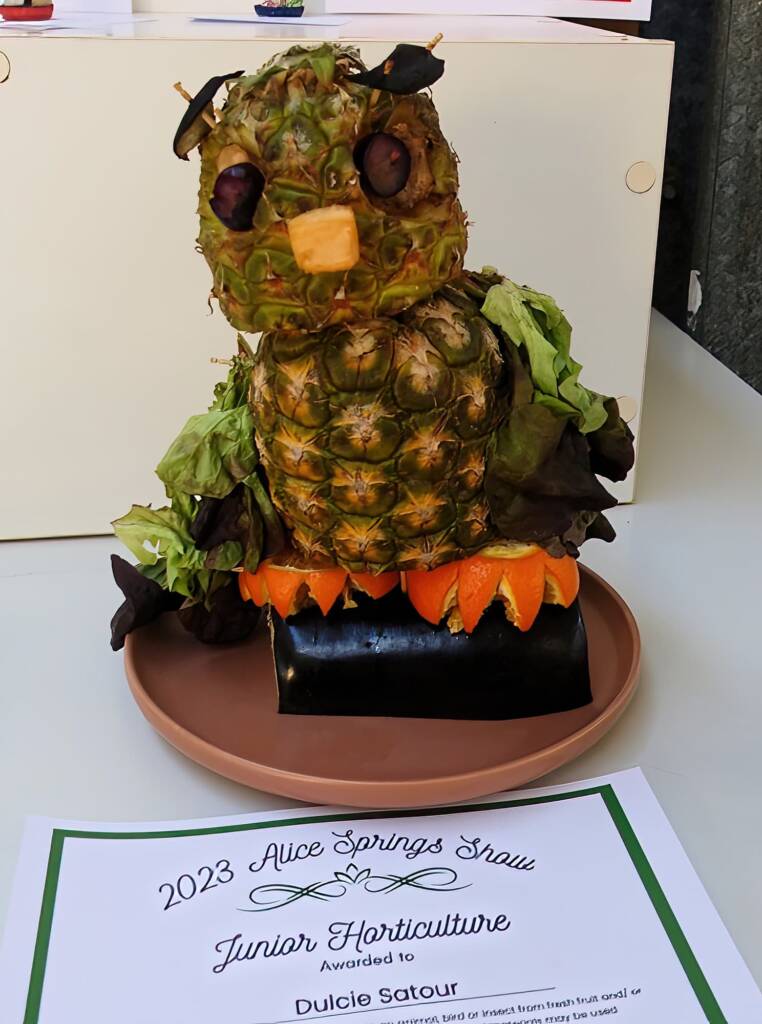 3rd Prize Junior Horticulture Award Dulcie Satour - Class LJ19, Alice Springs Show 2023