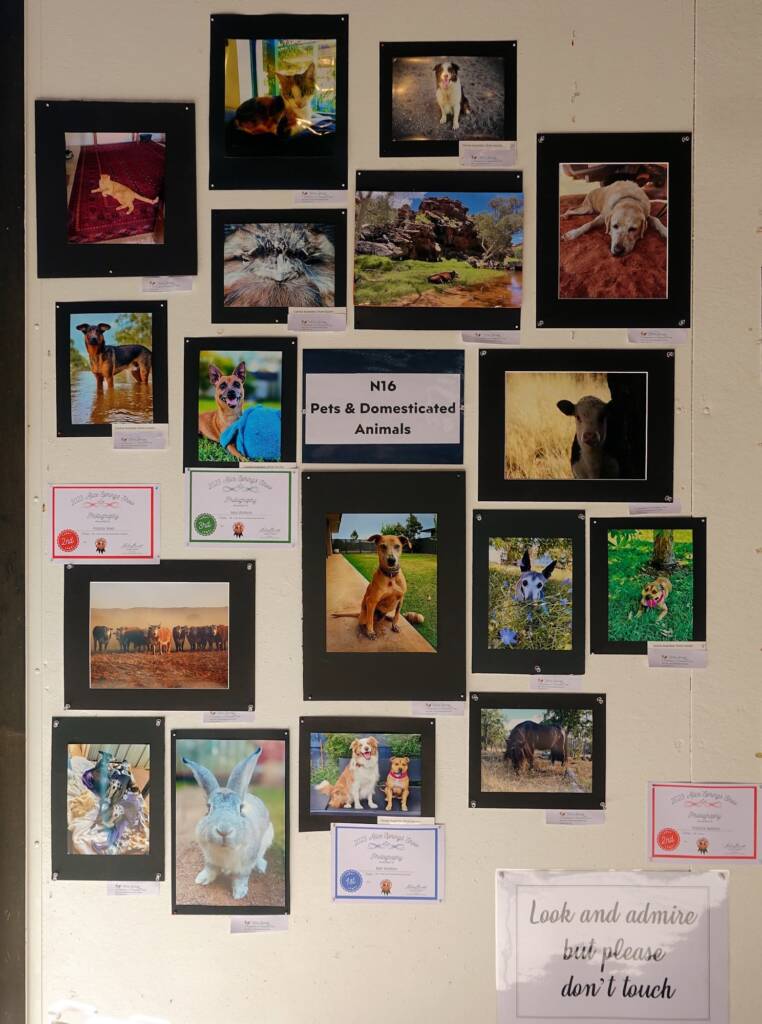 Photography, Alice Springs Show 2023