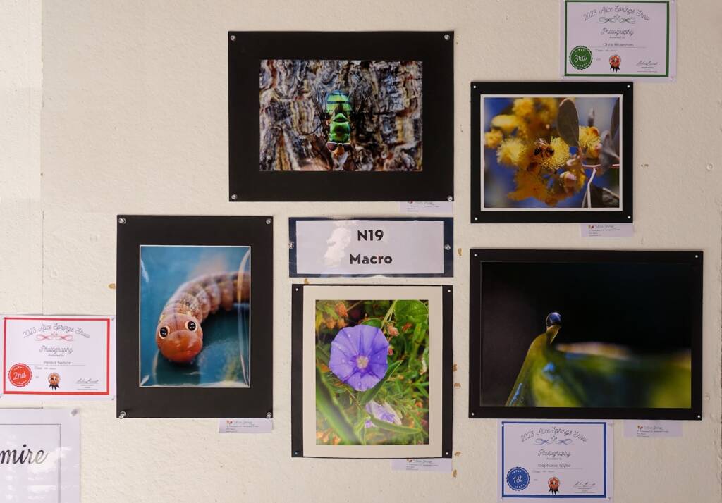 Photography, Alice Springs Show 2023