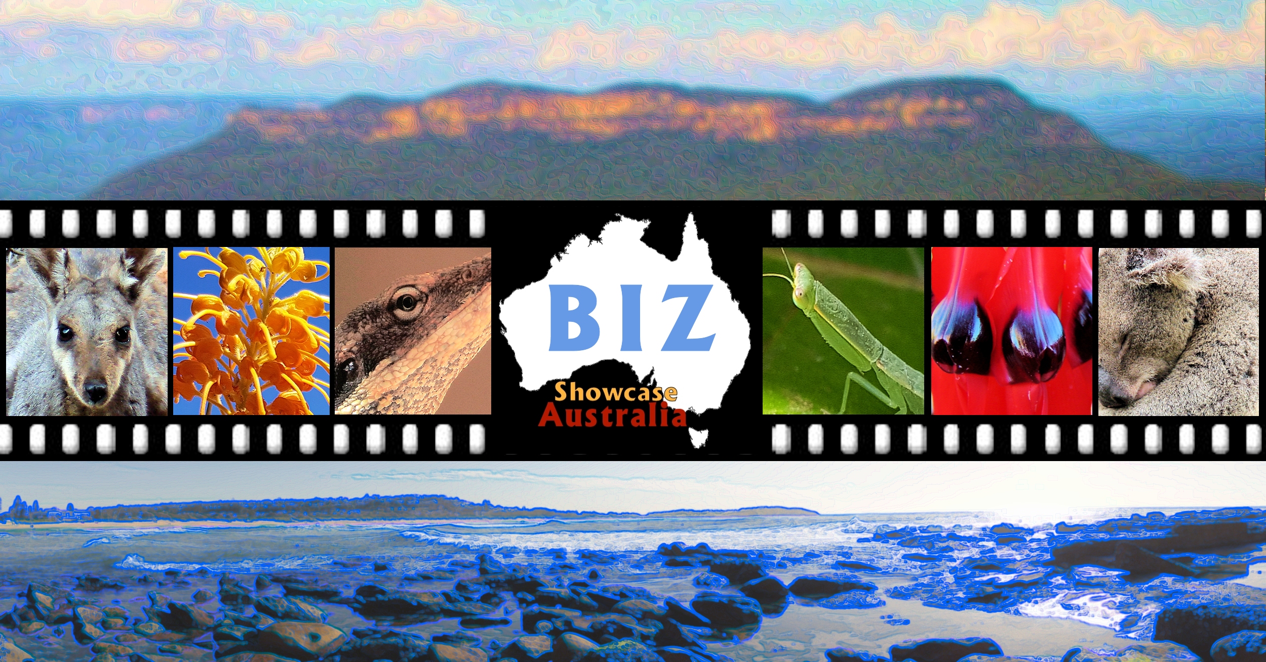 Biz / Business - Ausemade filmstrip