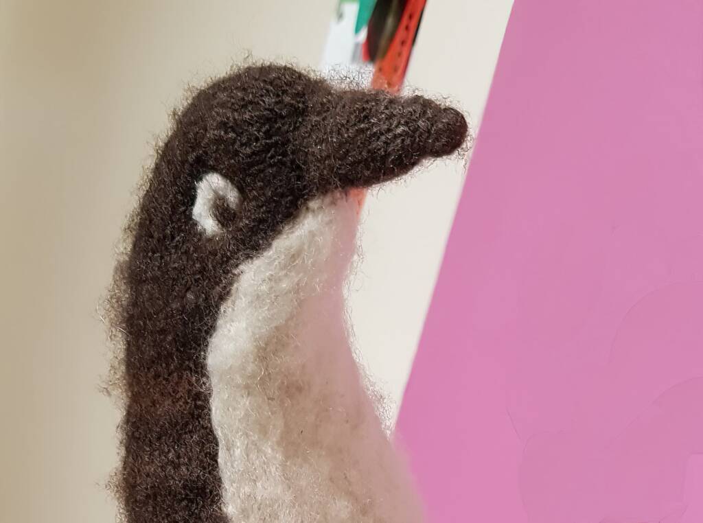 "My Tale's Told!" by Miriam Elkin, Brisbane QLD, Alice Springs Beanie Festival 2023