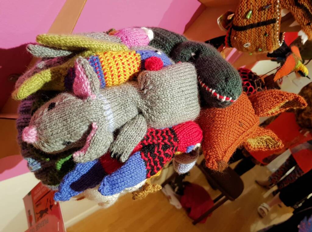 Wildlife seen on travels by Tiffany Lauricella, Bega Valley NSW, Alice Springs Beanie Festival 2023