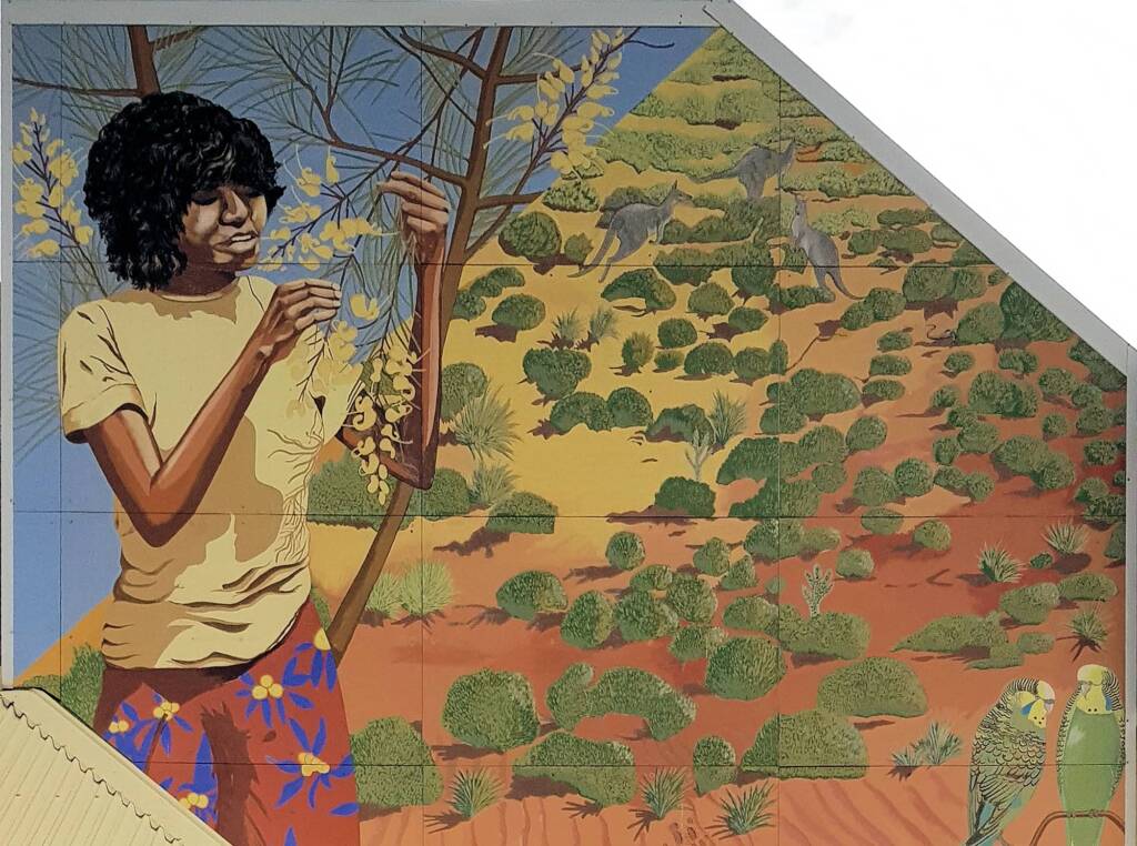 Aknganentye Groceries 1987, artists Gabriella Wallace, Carol Ruff, Shawn Doson, Jenny Green, Theresa Ryder (funded by the Aboriginal Development Commission)