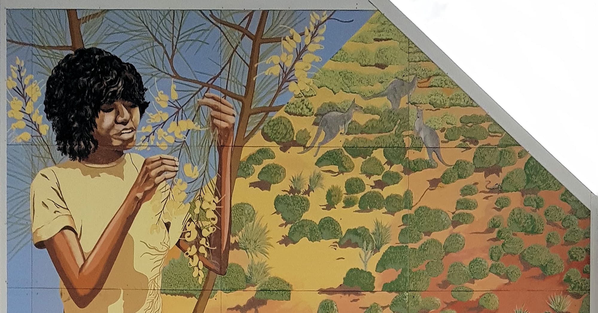 Aknganentye Groceries 1987, artists Gabriella Wallace, Carol Ruff, Shawn Doson, Jenny Green, Theresa Ryder (funded by the Aboriginal Development Commission)
