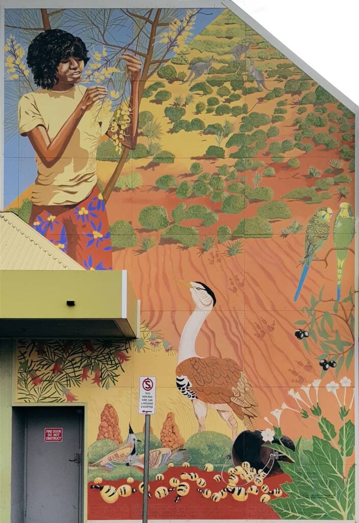 Aknganentye Groceries 1987, artists Gabriella Wallace, Carol Ruff, Shawn Doson, Jenny Green, Theresa Ryder (funded by the Aboriginal Development Commission)
