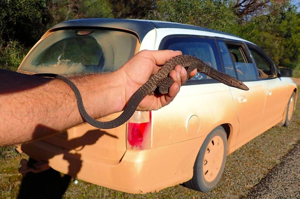 His head stuck in a can... © Gary Taylor