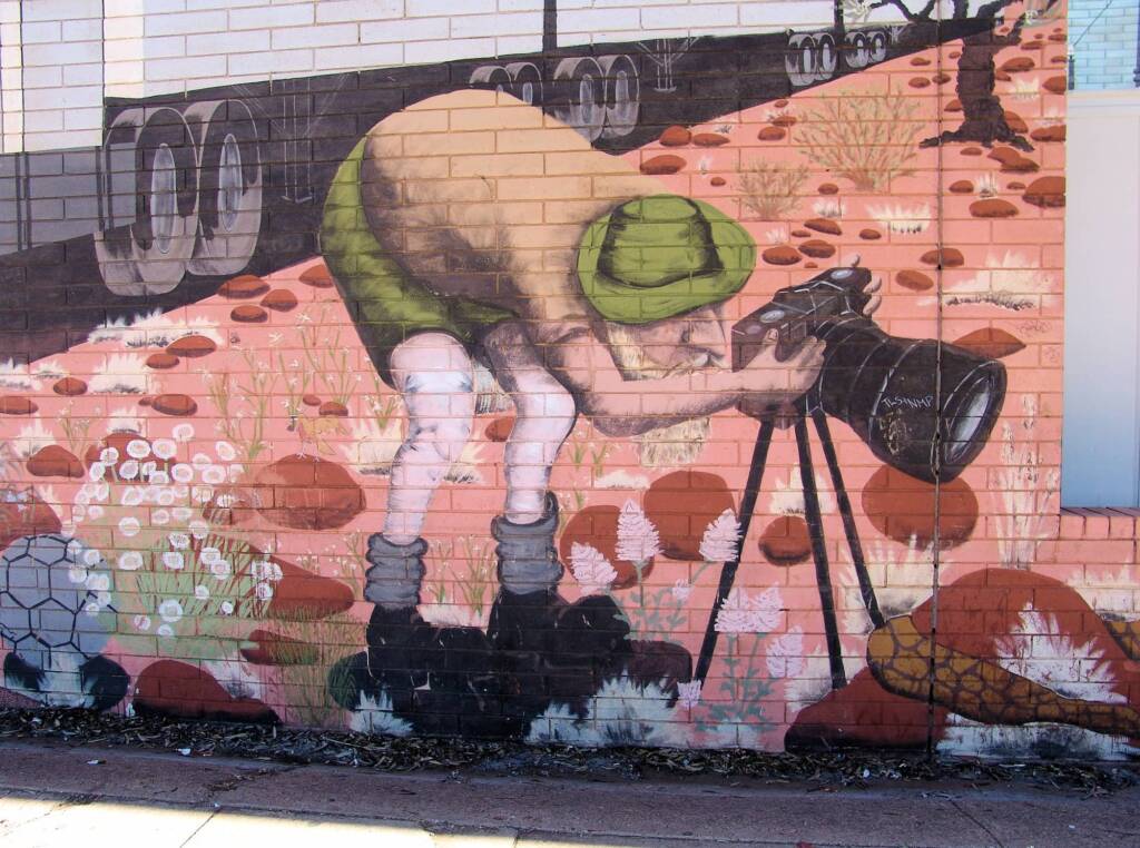 Coles Mural, 1981 by Bob and Kay Kessing (supervisors), with 200 volunteers — Mural, Alice Springs Street Art
