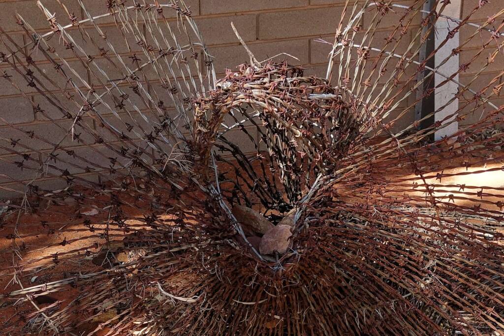 Comet by Dan Murphy - Barbed wire and galvanised metal, 1995 Araluen Collection