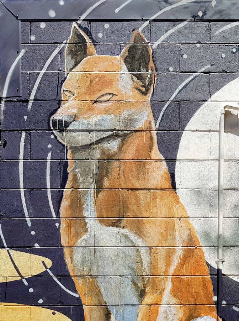 Dingoes Under a Full Moon by Christine Ng, Alice Springs Street Art