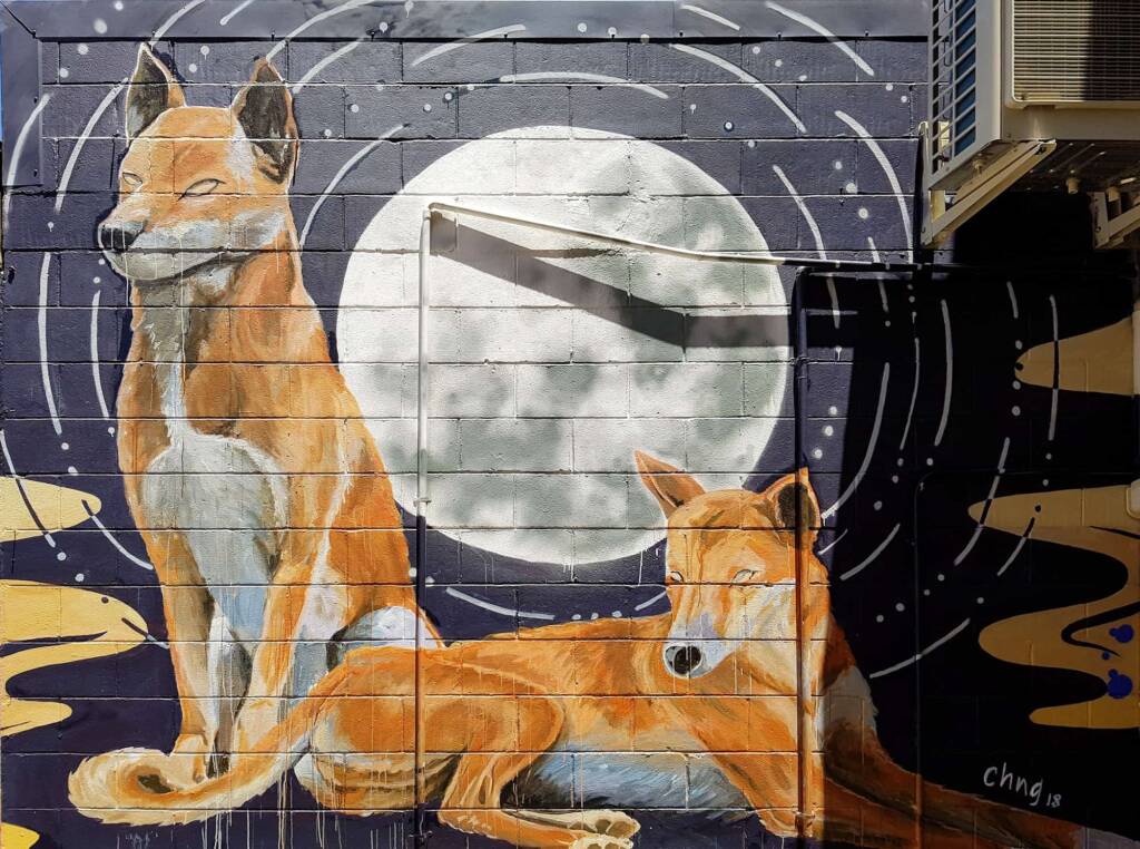 Dingoes Under a Full Moon by Christine Ng, Alice Springs Street Art