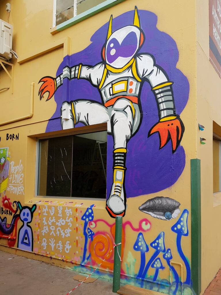 Human born (artist unknown), Alice Springs Street Art 2018