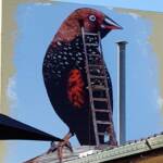 Painted Finch (2018 Alice Springs Street Art Festival) by Chris Scott, Alice Springs NT