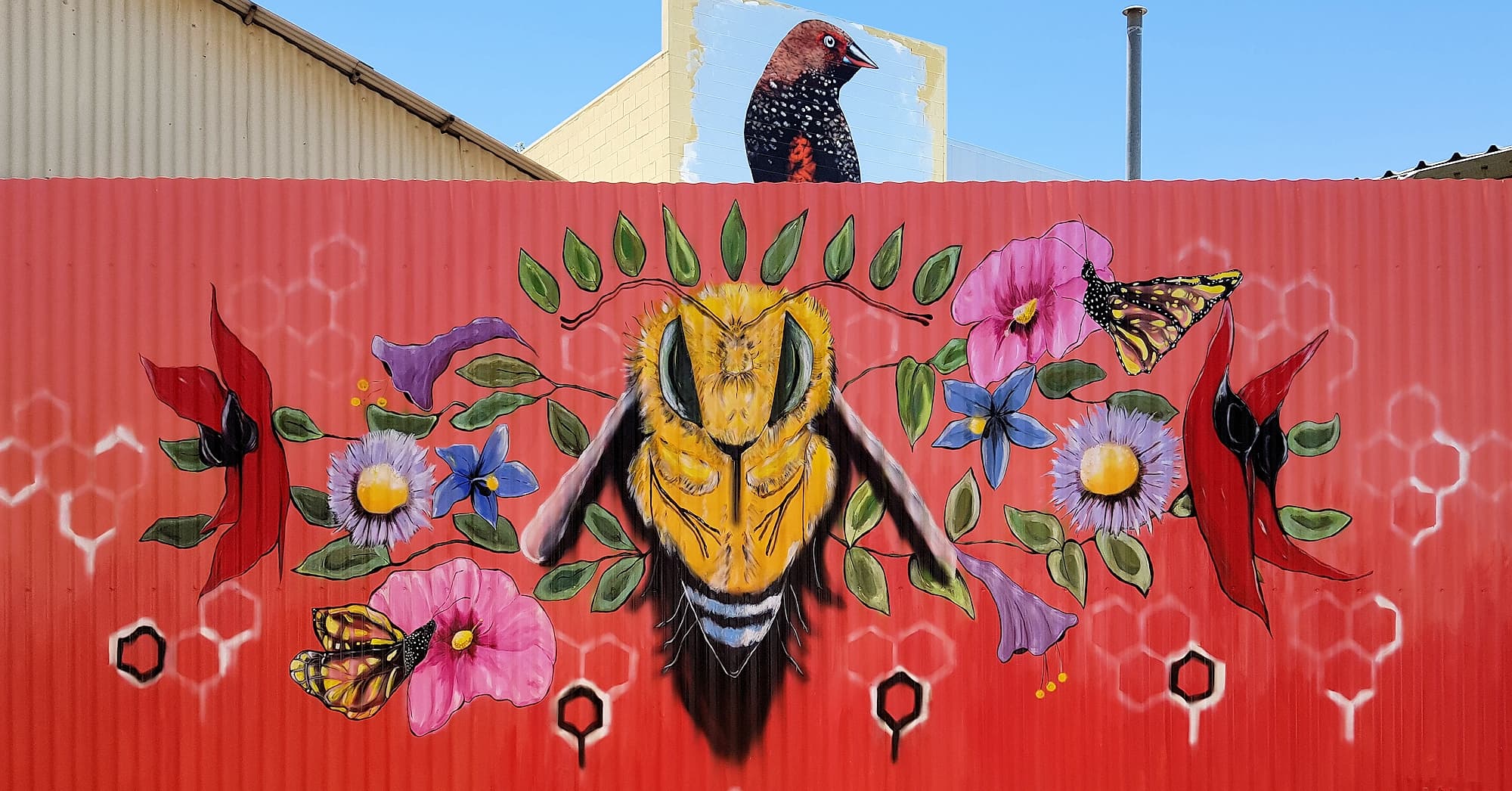 Queen Bee by Karine Tremblay, Alice Springs Street Art Festival 2018