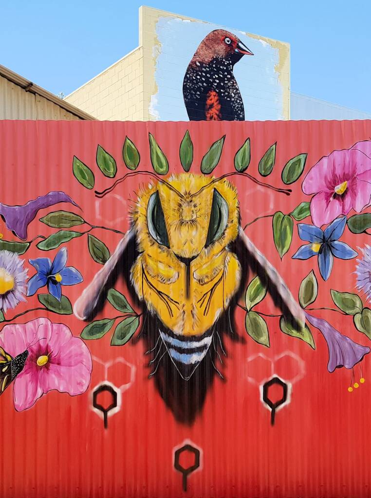 Queen Bee by Karine Tremblay, Alice Springs Street Art Festival 2018