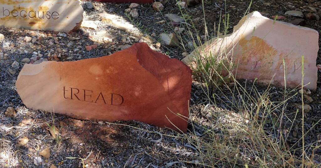 Tread Softly by Pamela Lofts, Araluen Arts Centre, Alice Springs NT