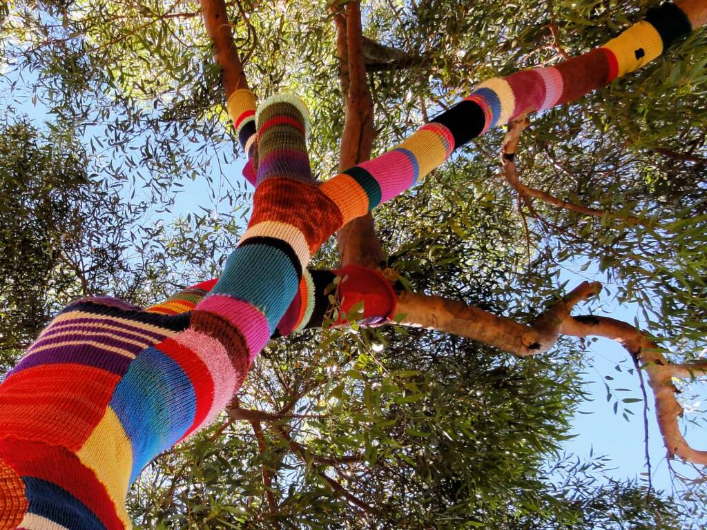Yarn Bomb Eucalypt 2012, Alice Springs NT