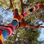 Yarn Bomb Eucalypt 2012, Alice Springs NT
