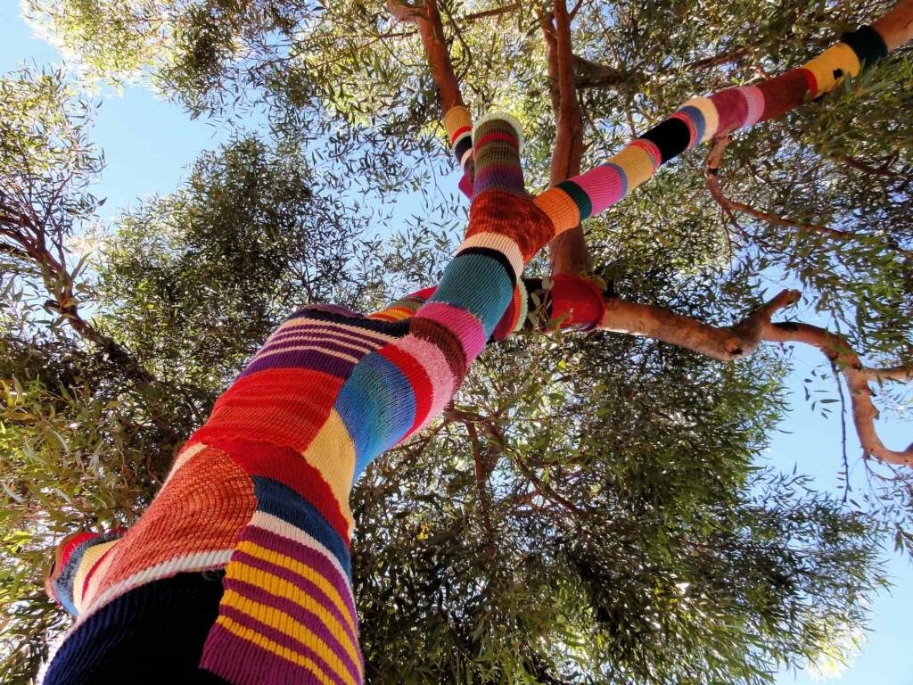 Yarn Bomb Eucalypt 2012, Alice Springs NT