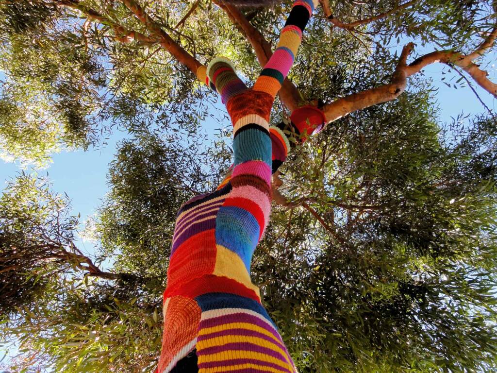Yarn Bomb Eucalypt 2012, Alice Springs NT