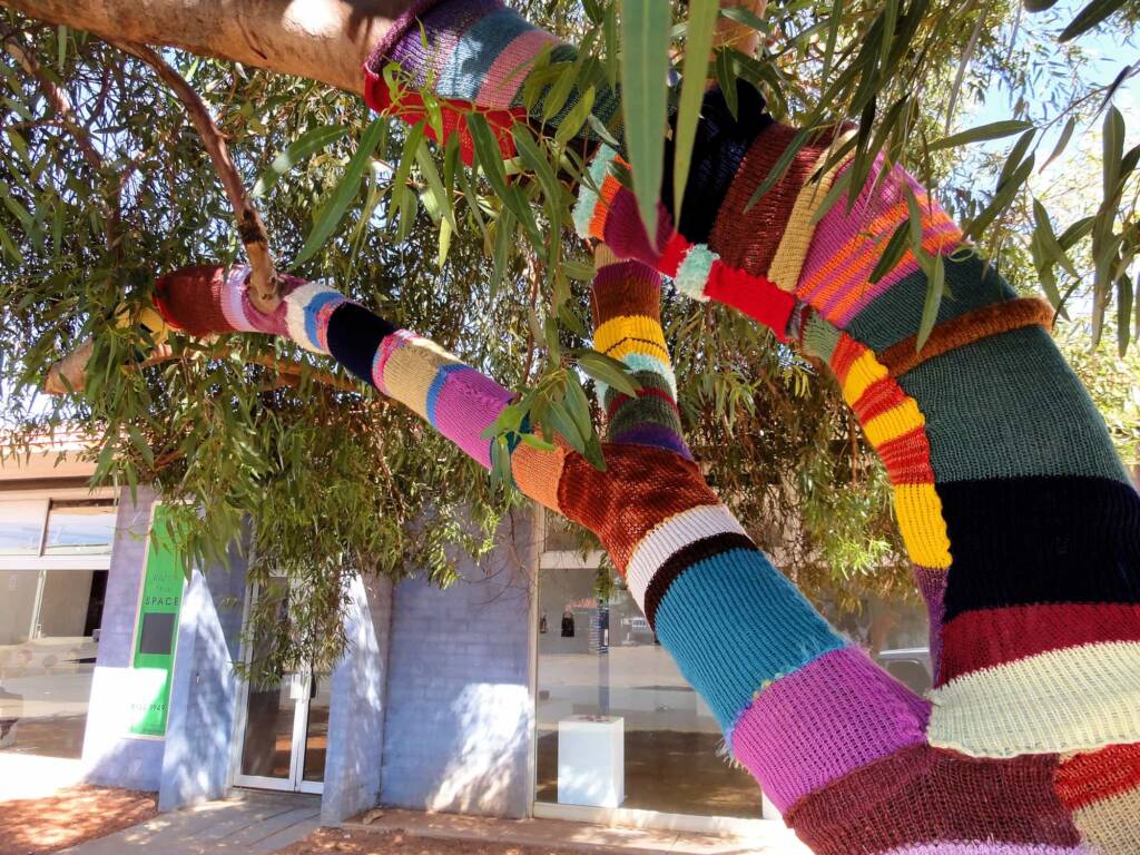 Yarn Bomb Eucalypt 2012, Alice Springs NT