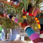 Yarn Bomb Eucalypt 2012, Alice Springs NT