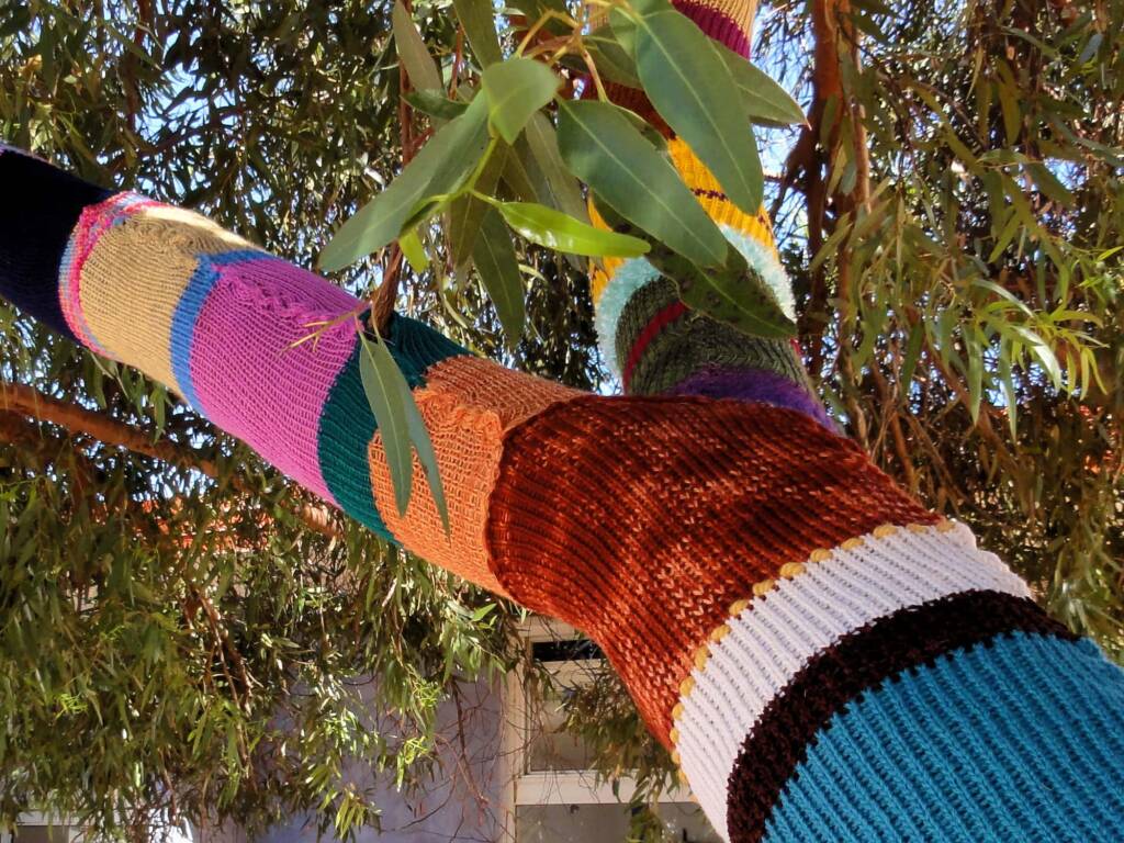 Yarn Bomb Eucalypt 2012, Alice Springs NT