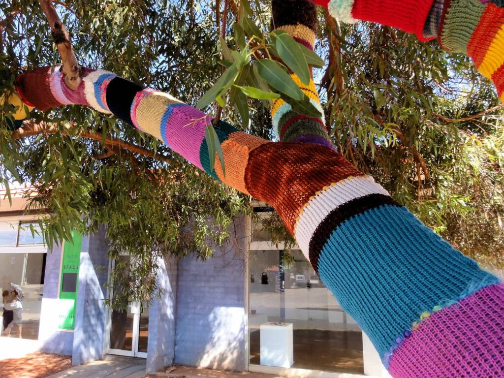 Yarn Bomb Eucalypt 2012, Alice Springs NT