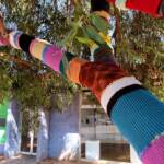 Yarn Bomb Eucalypt 2012, Alice Springs NT